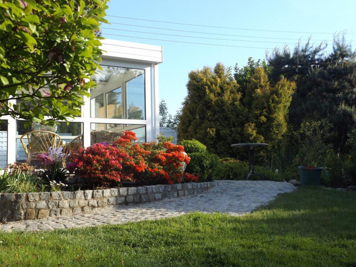 Cosy Apartment With In Pirna With Private Terrace 객실 사진